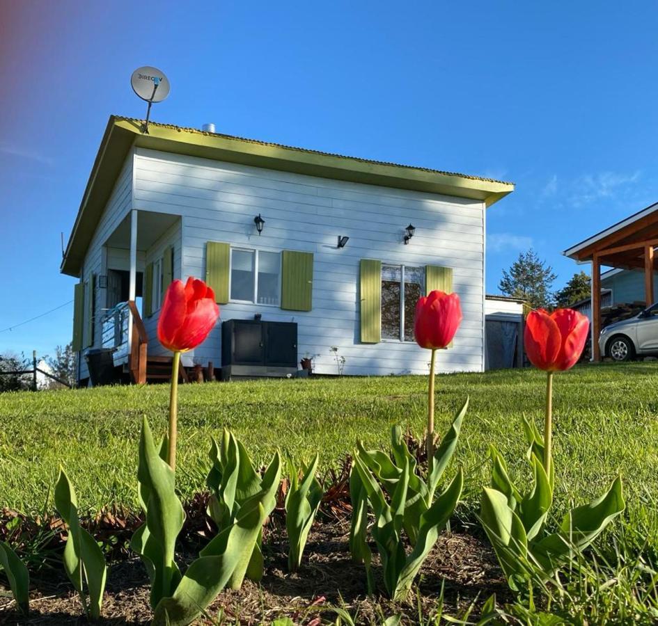 Cabanas Aliwen Villa Ñilque Dış mekan fotoğraf