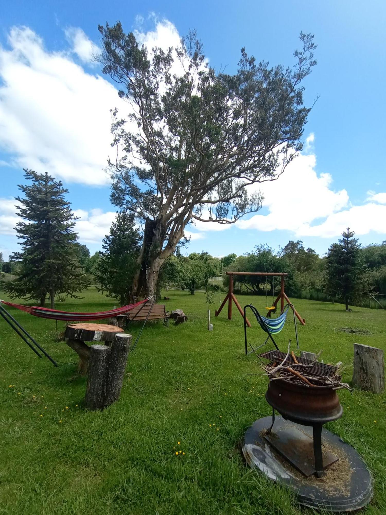 Cabanas Aliwen Villa Ñilque Dış mekan fotoğraf