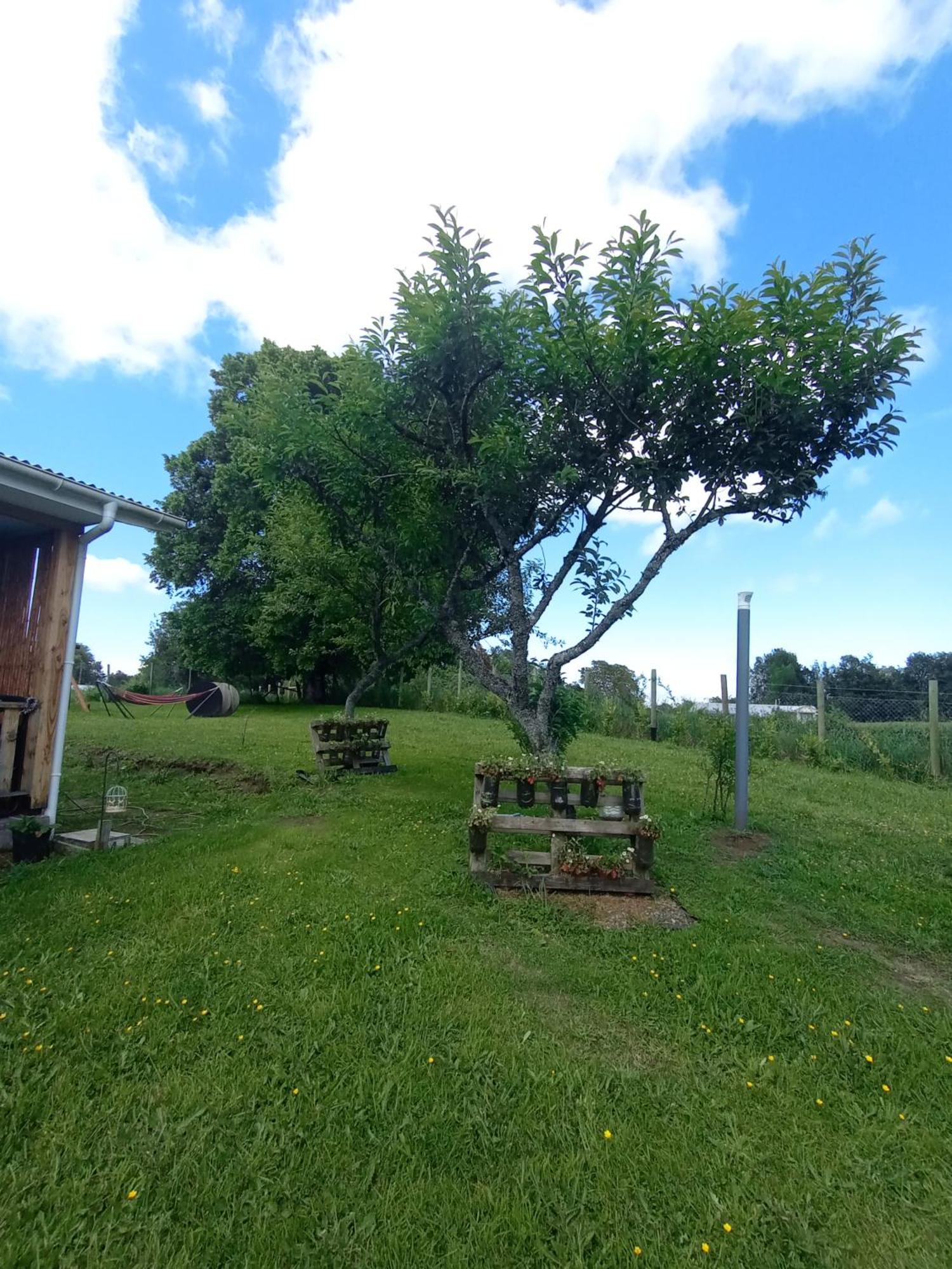 Cabanas Aliwen Villa Ñilque Dış mekan fotoğraf