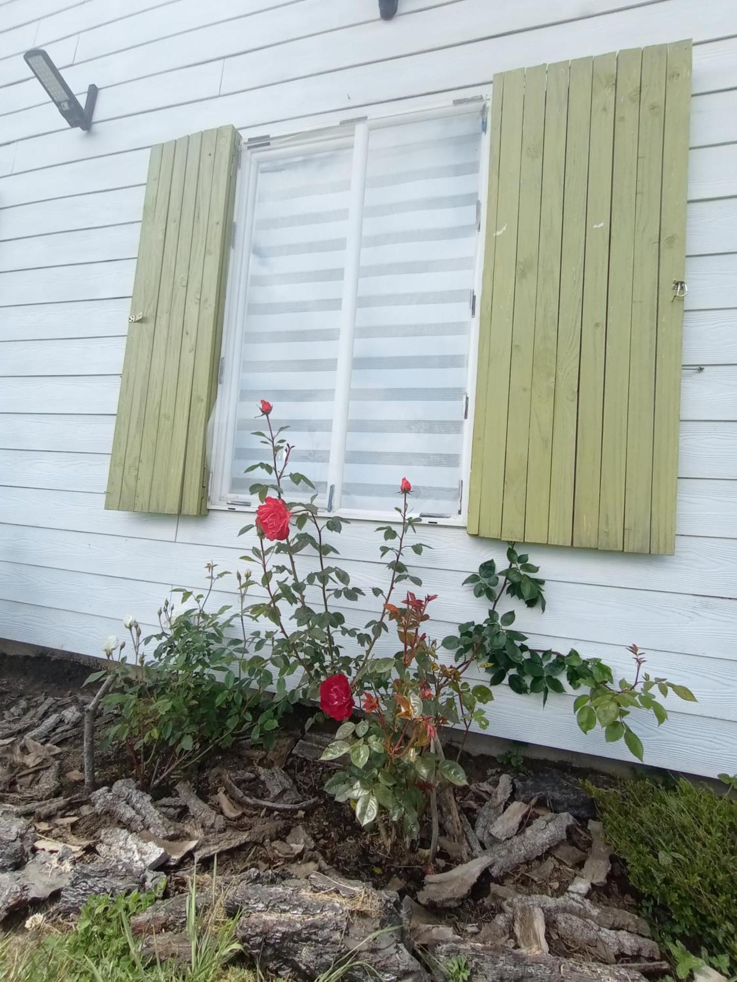Cabanas Aliwen Villa Ñilque Dış mekan fotoğraf