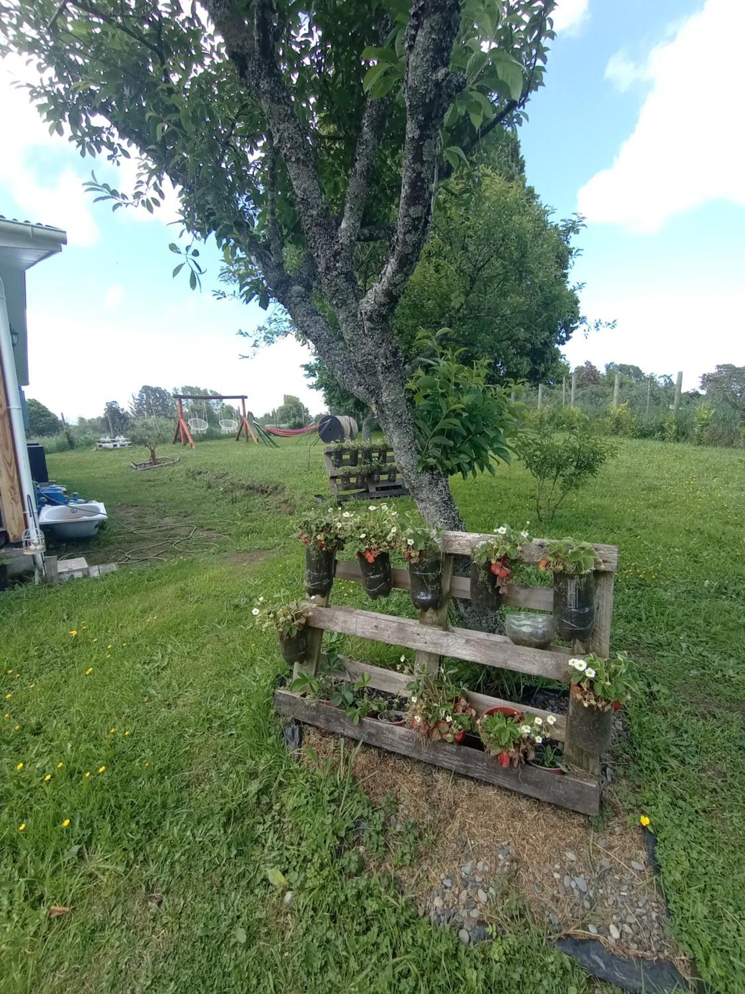 Cabanas Aliwen Villa Ñilque Dış mekan fotoğraf
